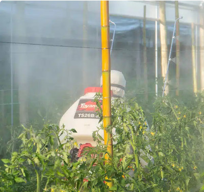 Pulverizador Costal Gasolina – TS26B-N - Imagem 4